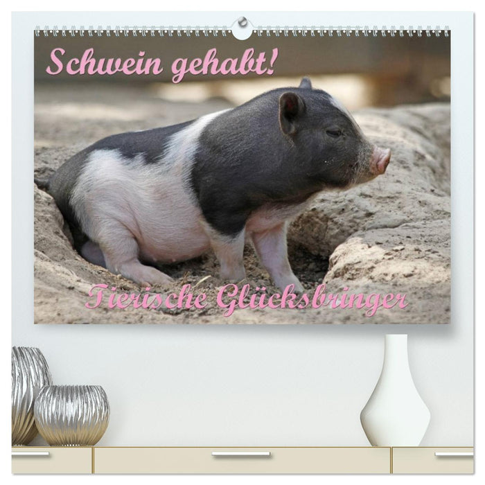 Schwein gehabt! (CALVENDO Premium Wandkalender 2027)