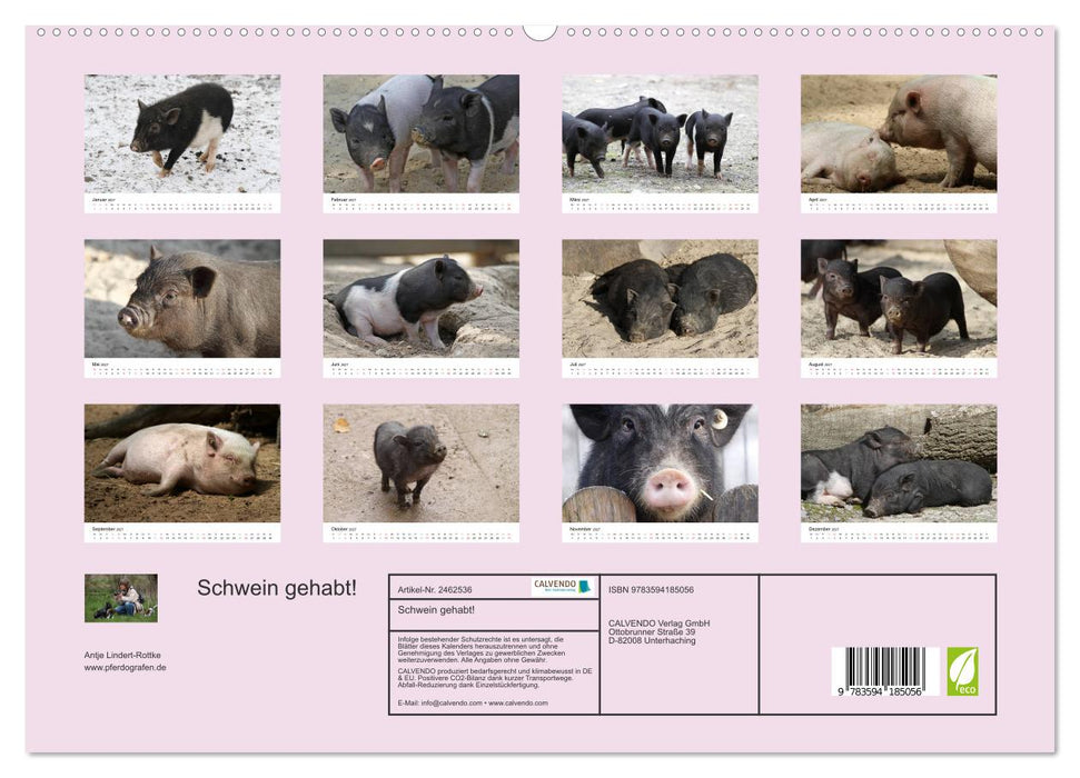 Schwein gehabt! (CALVENDO Premium Wandkalender 2027)