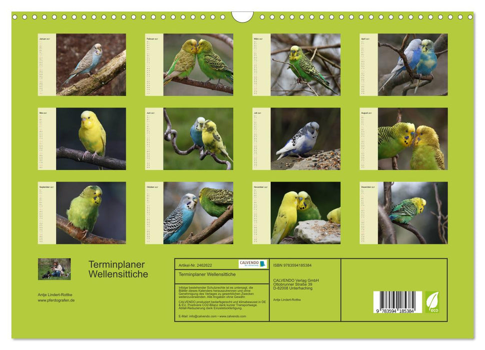 Terminplaner Wellensittiche (CALVENDO Wandkalender 2027)