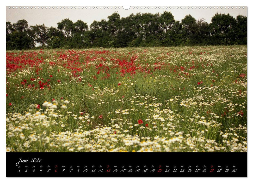 RHÖN = SCHÖN (CALVENDO Premium Wandkalender 2027)