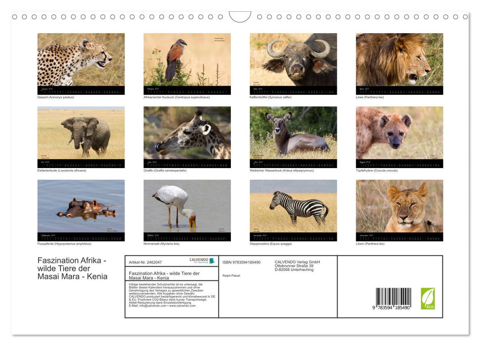 Faszination Afrika - wilde Tiere der Masai Mara - Kenia (CALVENDO Wandkalender 2027)