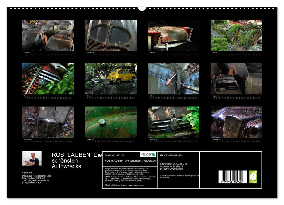 ROSTLAUBEN Die schönsten Autowracks (CALVENDO Premium Wandkalender 2027)