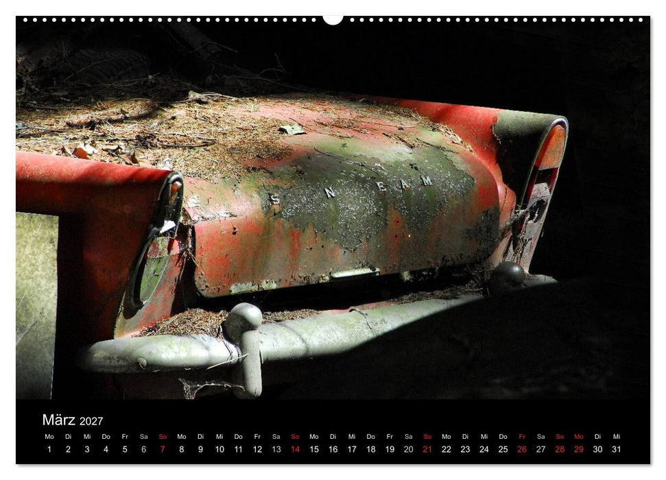 ROSTLAUBEN Die schönsten Autowracks (CALVENDO Premium Wandkalender 2027)