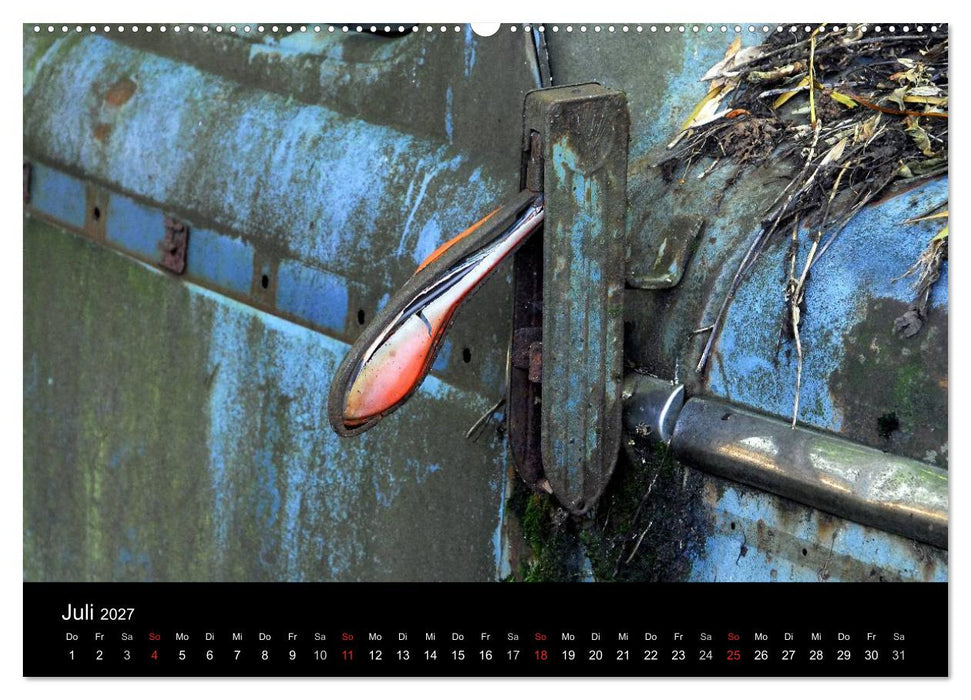 ROSTLAUBEN Die schönsten Autowracks (CALVENDO Premium Wandkalender 2027)