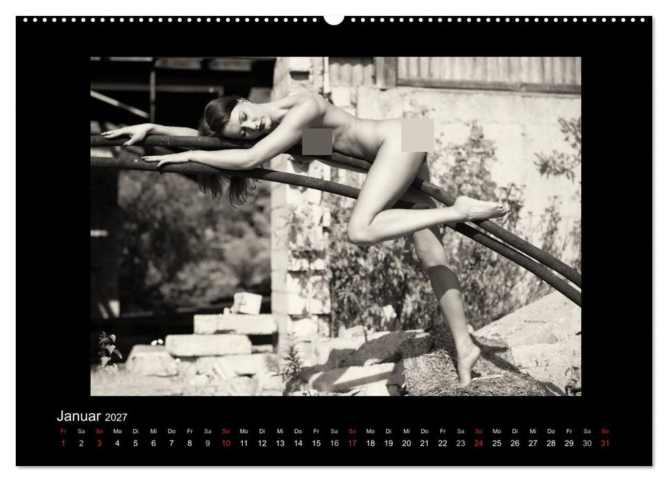 Schönheiten in schwarz-weiss (CALVENDO Premium Wandkalender 2027)
