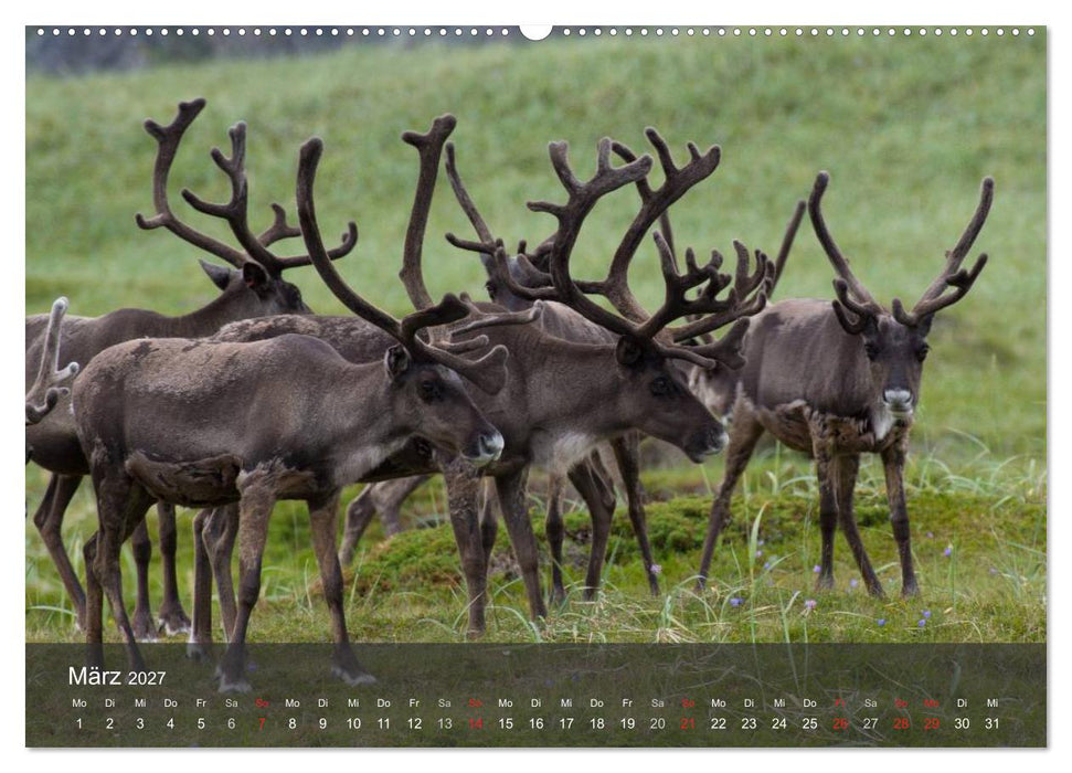 Lappland 2027 (CALVENDO Premium Wandkalender 2027)