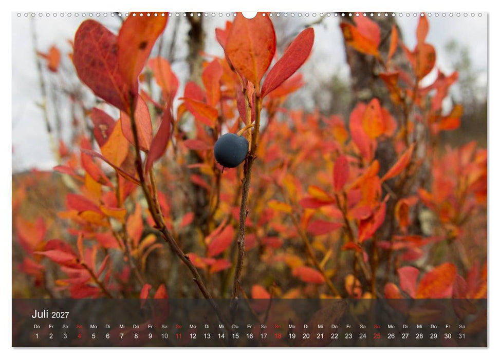 Lappland 2027 (CALVENDO Premium Wandkalender 2027)