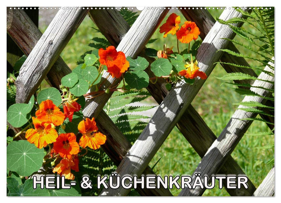Heil- und Küchenkräuter (CALVENDO Wandkalender 2027)