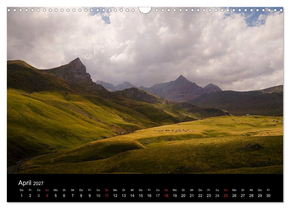 Kühe 2027 (CALVENDO Wandkalender 2027)
