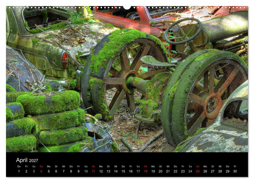 ROSTLAUBEN Die schönsten Autowracks (CALVENDO Wandkalender 2027)