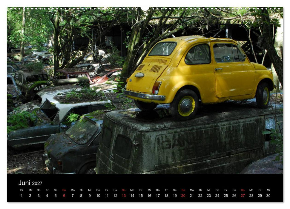 ROSTLAUBEN Die schönsten Autowracks (CALVENDO Wandkalender 2027)