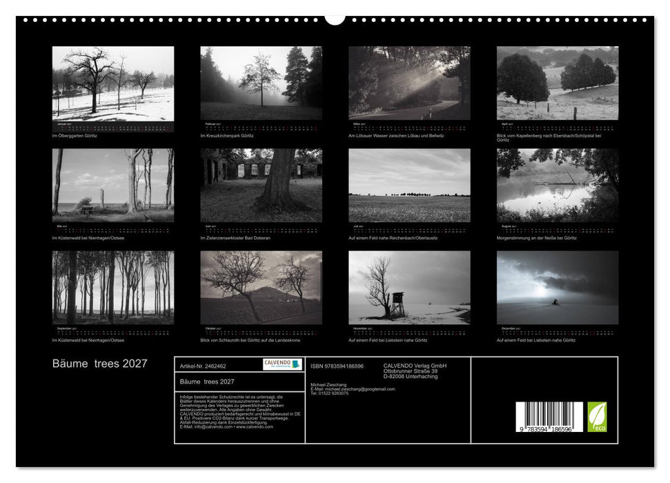 Bäume trees 2027 (CALVENDO Premium Wandkalender 2027)