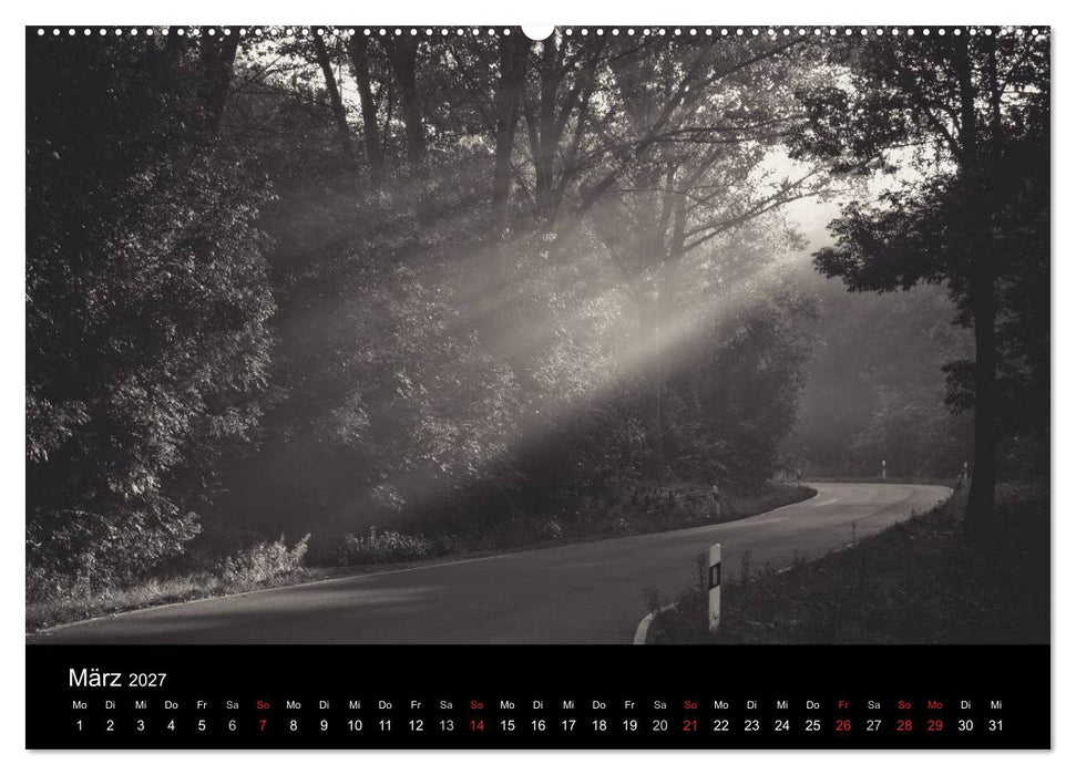 Bäume trees 2027 (CALVENDO Premium Wandkalender 2027)