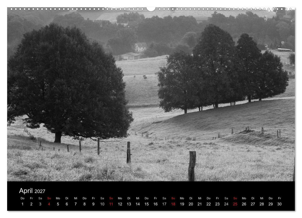 Bäume trees 2027 (CALVENDO Premium Wandkalender 2027)