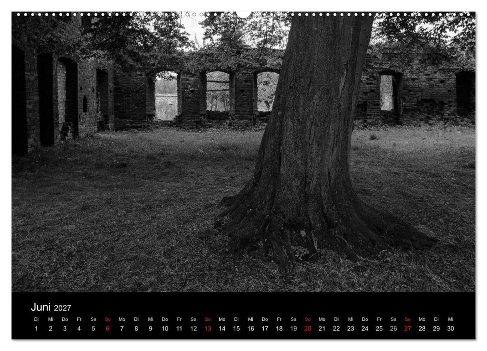 Bäume trees 2027 (CALVENDO Premium Wandkalender 2027)