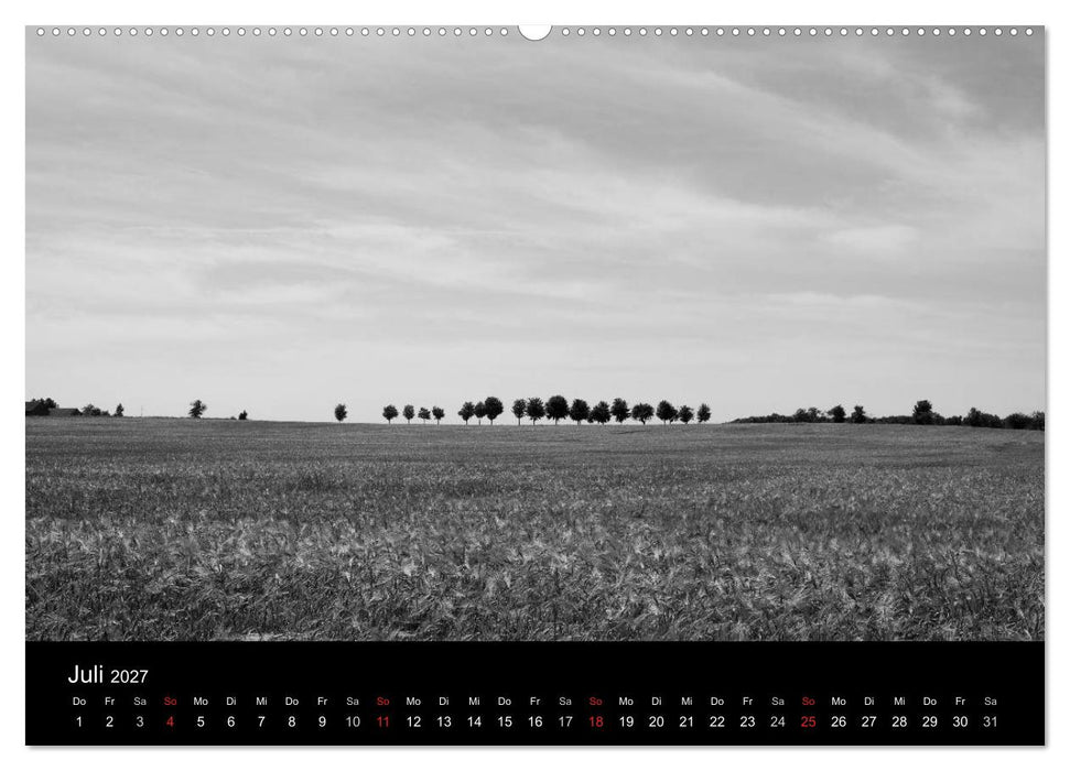 Bäume trees 2027 (CALVENDO Premium Wandkalender 2027)