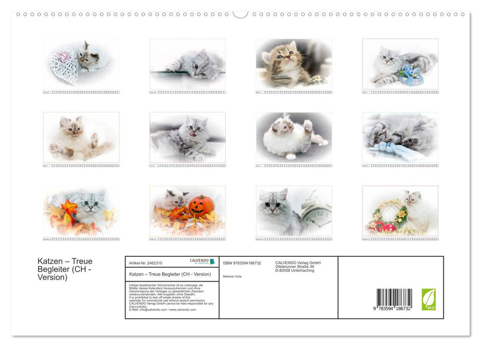Katzen – Treue Begleiter (CH - Version) (CALVENDO Premium Wandkalender 2027)