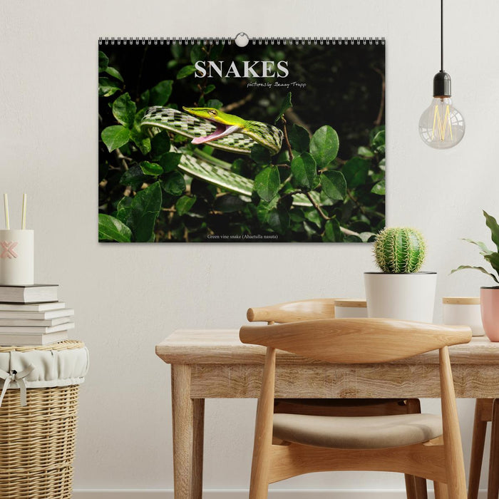 SNAKES / UK-Version (CALVENDO Monthly Calendar 2027)