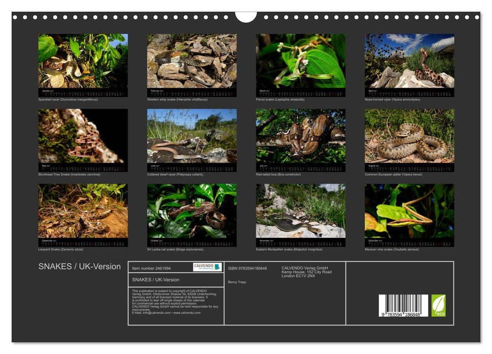 SNAKES / UK-Version (CALVENDO Monthly Calendar 2027)