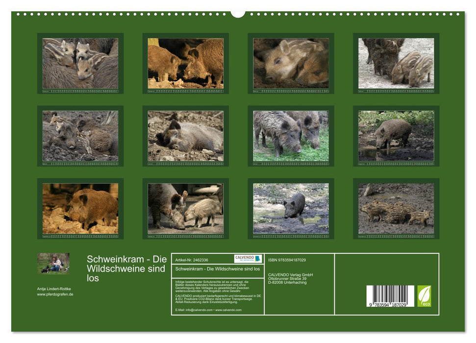 Schweinkram - Die Wildschweine sind los (CALVENDO Premium Wandkalender 2027)