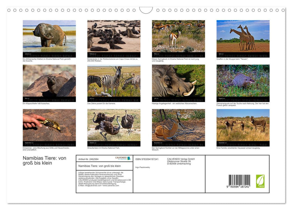 Namibias Tiere: von groß bis klein (CALVENDO Wandkalender 2027)