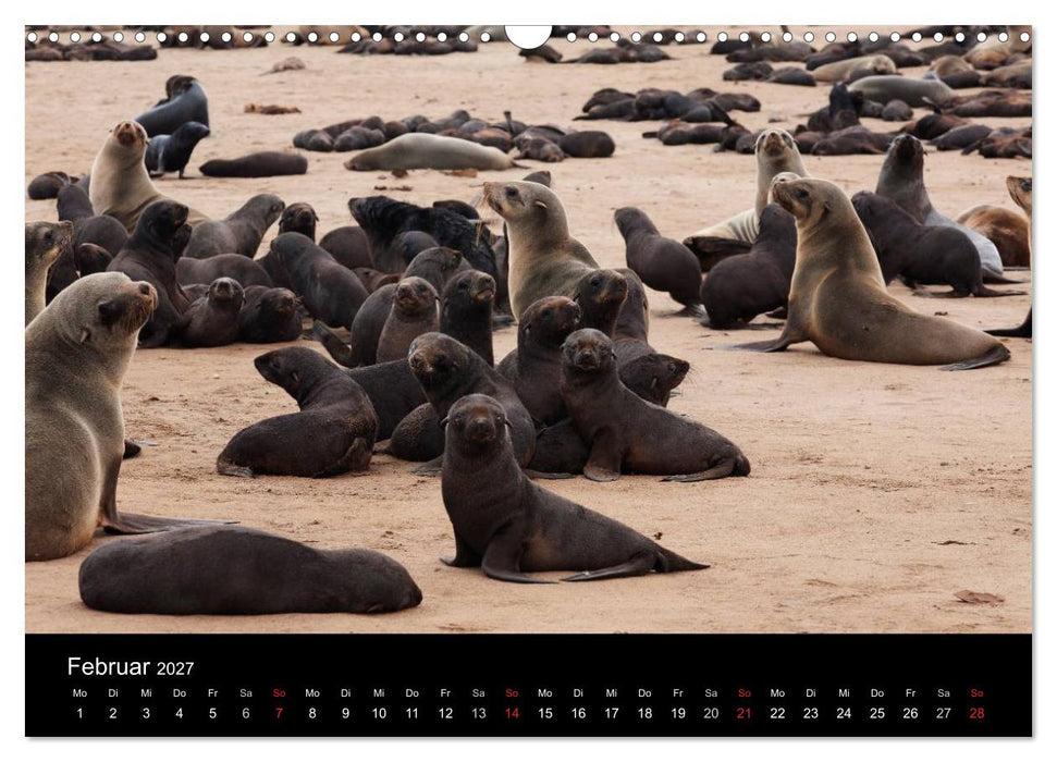 Namibias Tiere: von groß bis klein (CALVENDO Wandkalender 2027)
