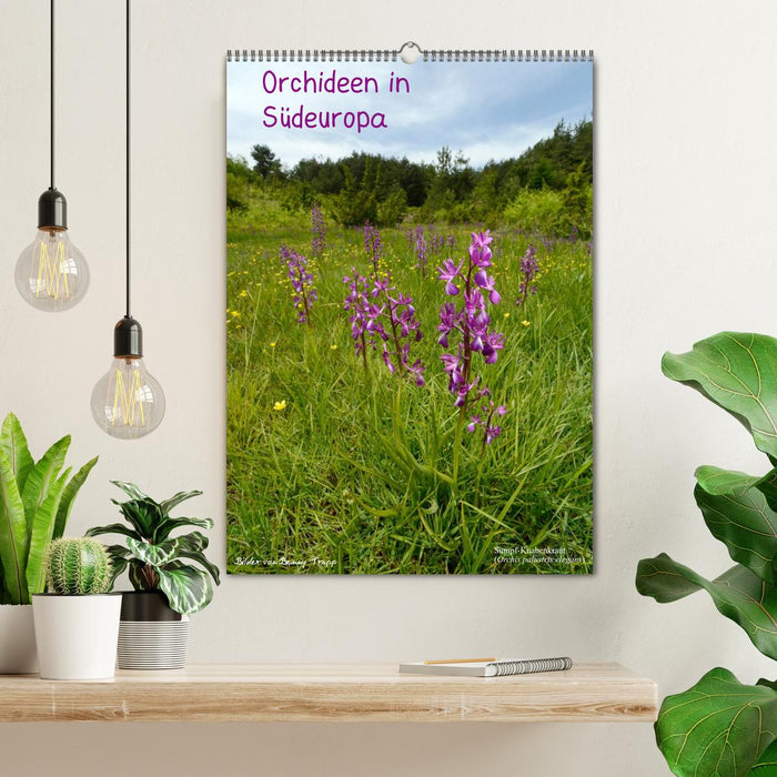 Orchideen in Südeuropa (CALVENDO Wandkalender 2027)