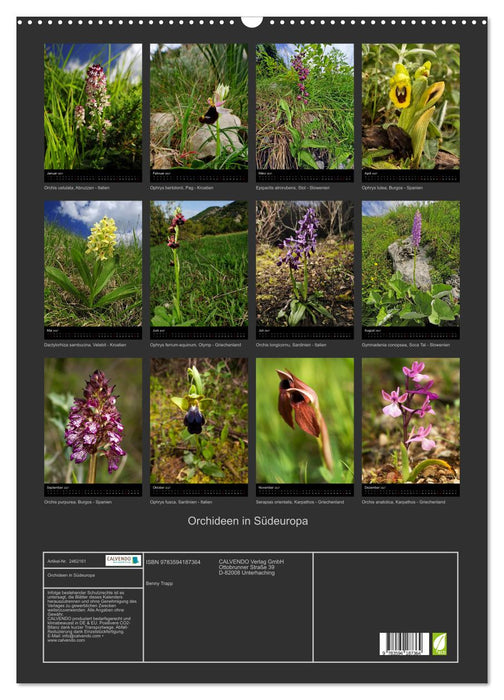 Orchideen in Südeuropa (CALVENDO Wandkalender 2027)