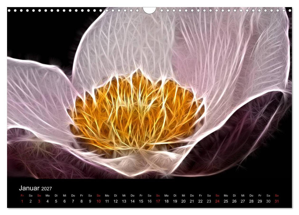 Floral Abstrakt 2027 (CALVENDO Wandkalender 2027)