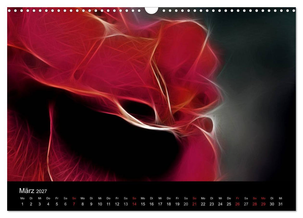 Floral Abstrakt 2027 (CALVENDO Wandkalender 2027)
