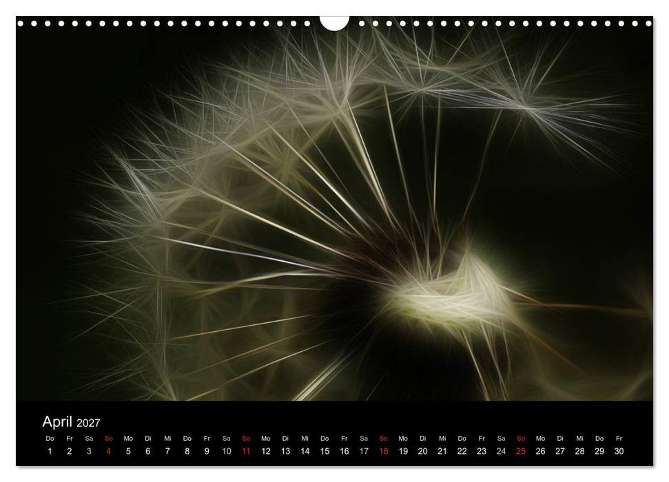 Floral Abstrakt 2027 (CALVENDO Wandkalender 2027)