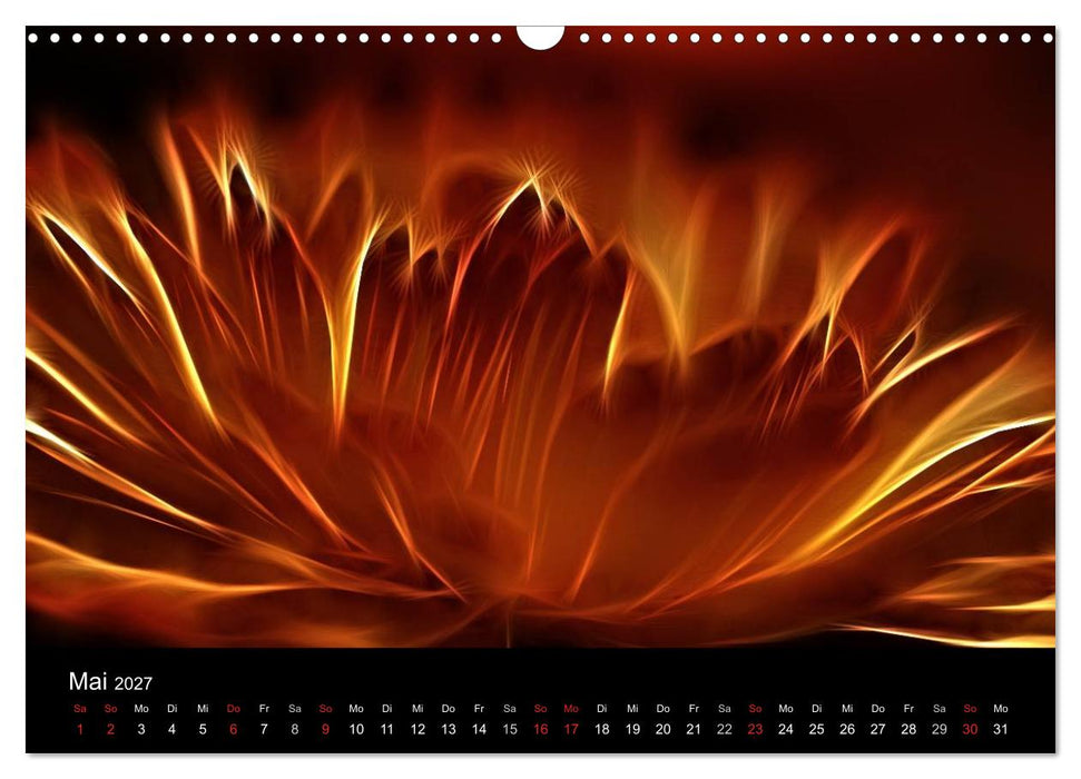 Floral Abstrakt 2027 (CALVENDO Wandkalender 2027)