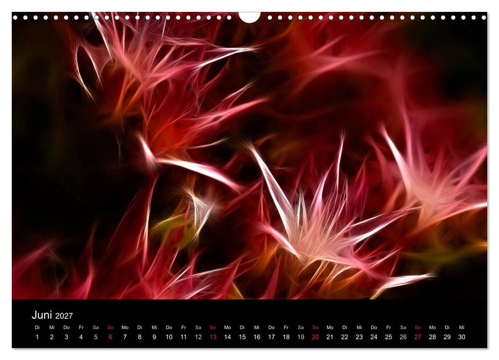 Floral Abstrakt 2027 (CALVENDO Wandkalender 2027)