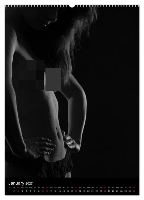 Erotic Silhouettes / UK-Version (CALVENDO Premium-Calendar 2027)
