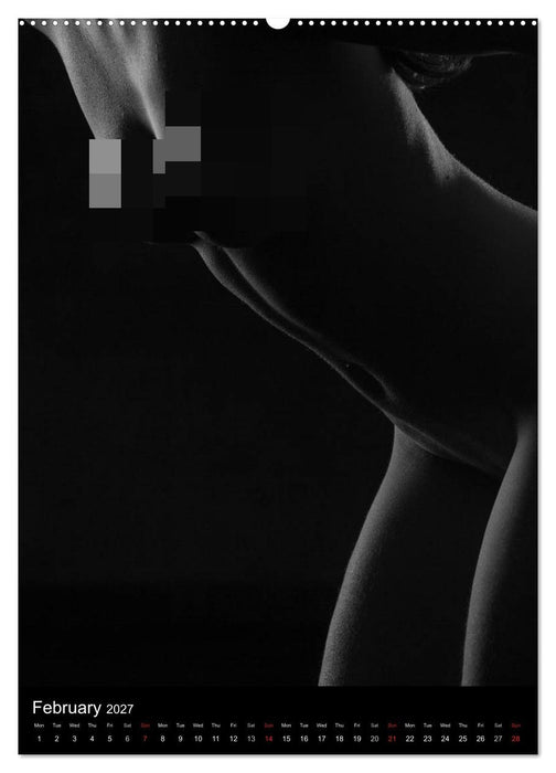 Erotic Silhouettes / UK-Version (CALVENDO Premium-Calendar 2027)