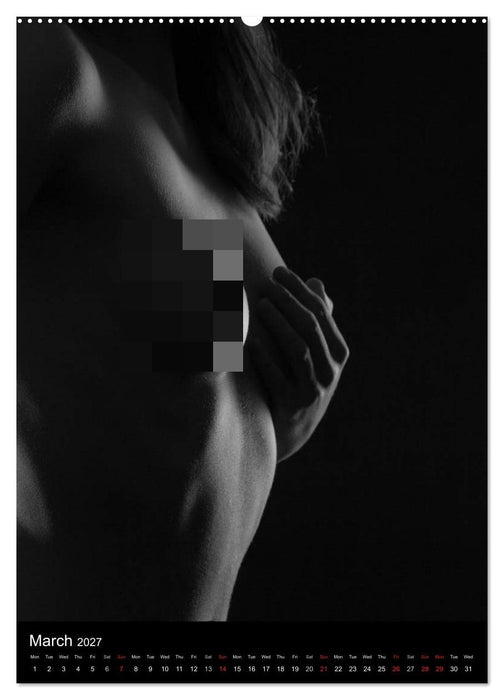 Erotic Silhouettes / UK-Version (CALVENDO Premium-Calendar 2027)
