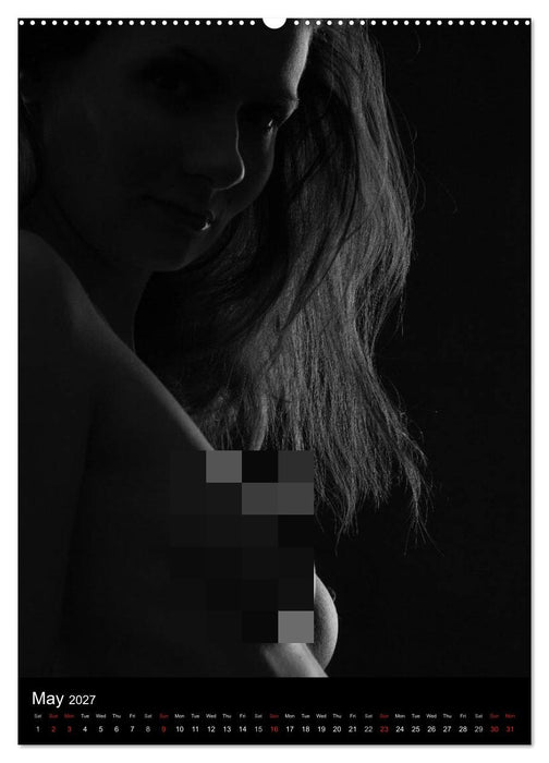 Erotic Silhouettes / UK-Version (CALVENDO Premium-Calendar 2027)