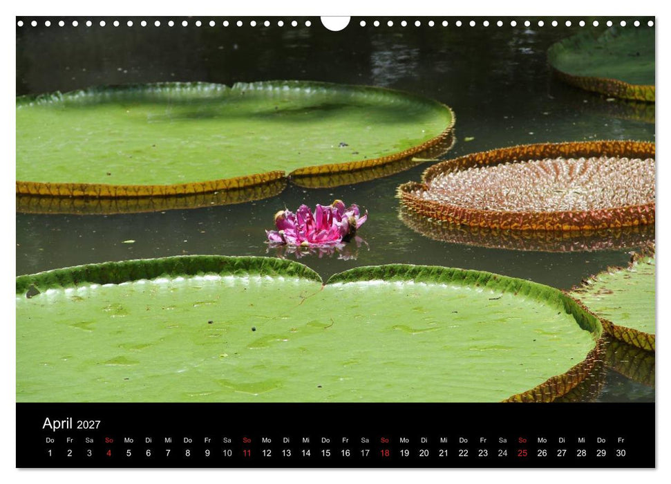 Trauminsel Mauritius (CALVENDO Wandkalender 2027)