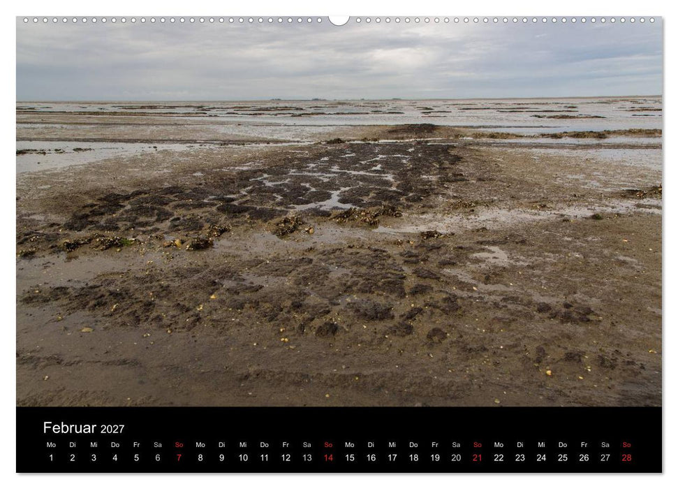 Pellworm 2027 (CALVENDO Premium Wandkalender 2027)