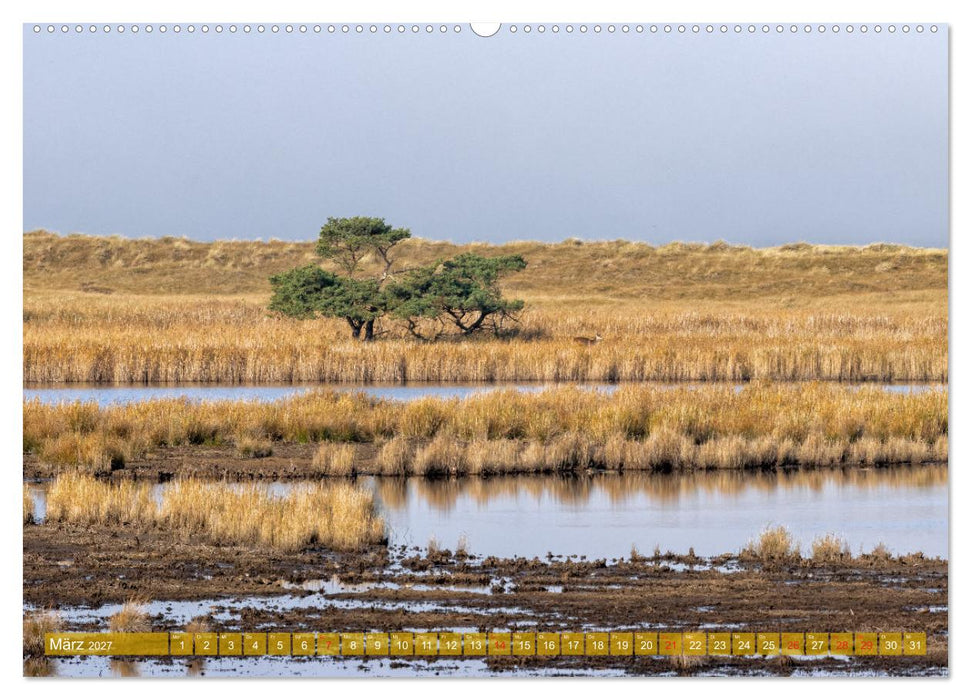 Darß-Zingst Naturimpressionen (CALVENDO Premium Wandkalender 2027)