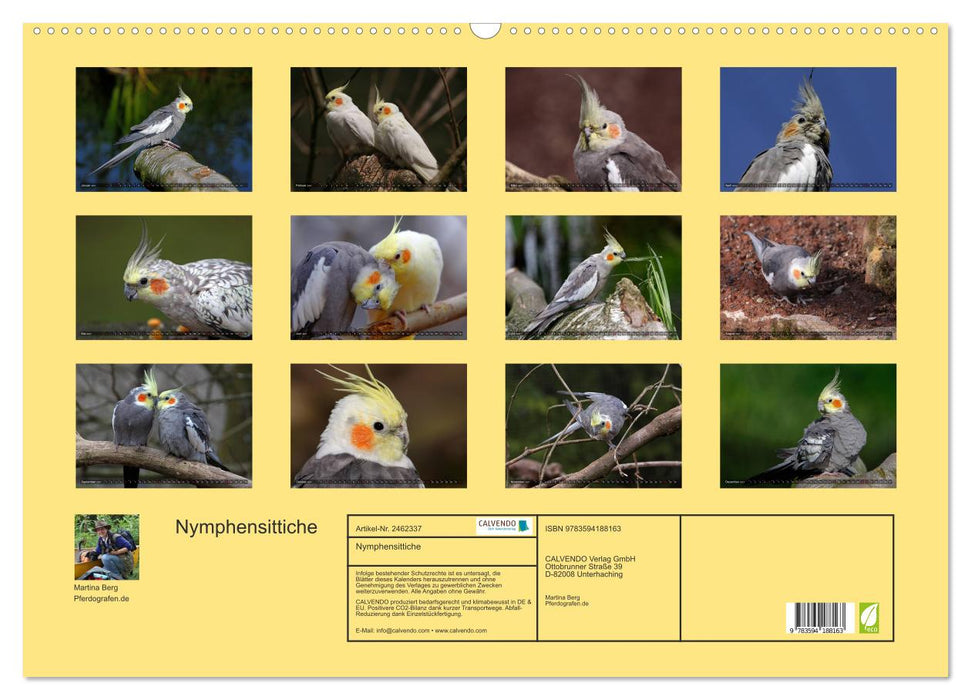 Nymphensittiche (CALVENDO Wandkalender 2027)