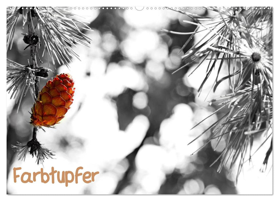 Farbtupfer (CALVENDO Wandkalender 2027)