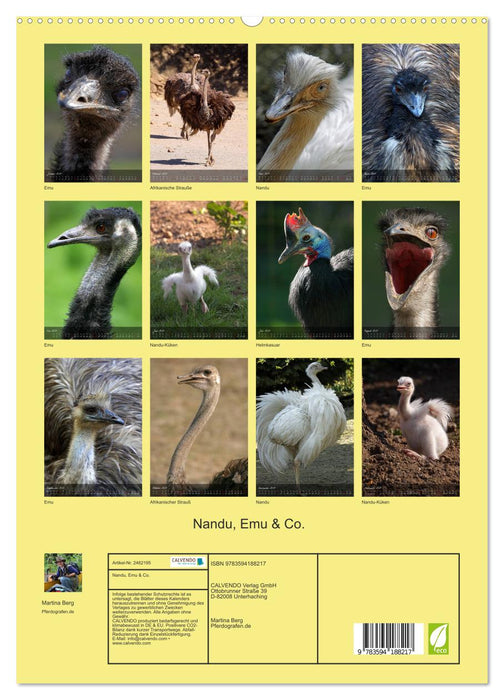Nandu, Emu & Co. (CALVENDO Premium Wandkalender 2027)