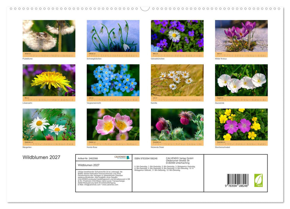 Wildblumen 2027 (CALVENDO Premium Wandkalender 2027)