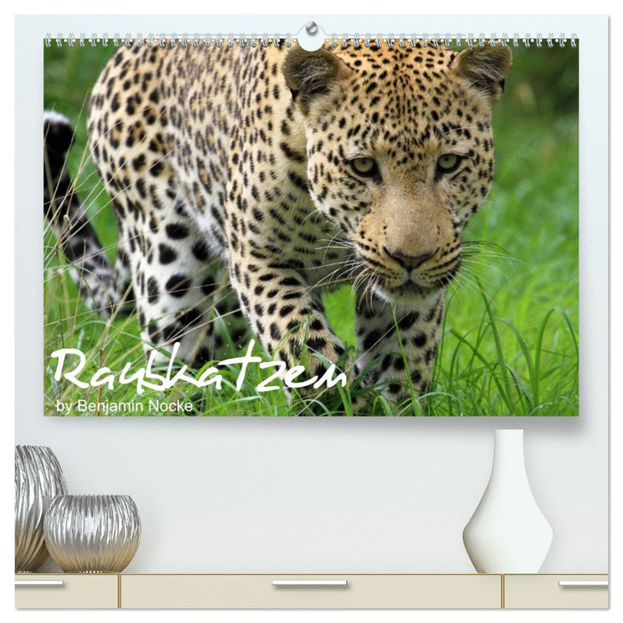 Raubkatzen (CALVENDO Premium Wandkalender 2027)