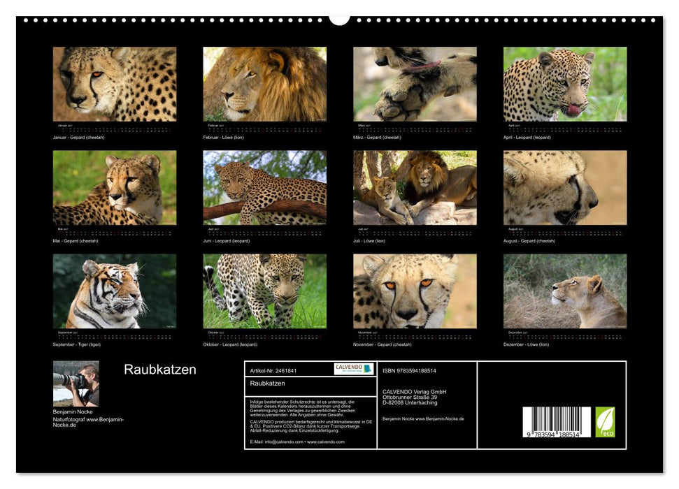 Raubkatzen (CALVENDO Premium Wandkalender 2027)