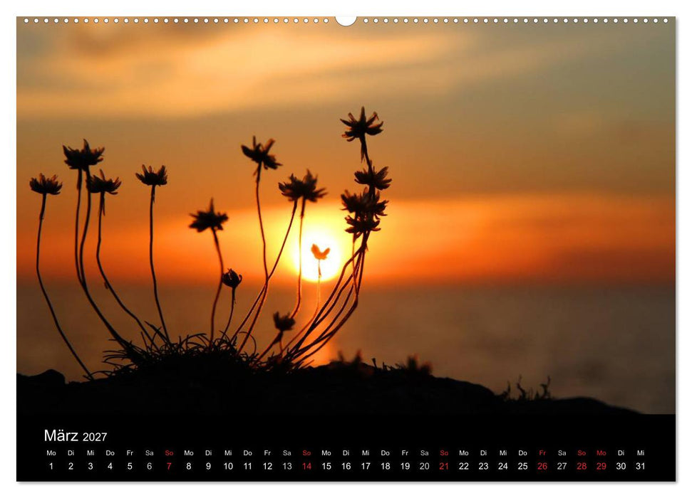 Der Sonne entgegen (CALVENDO Premium Wandkalender 2027)