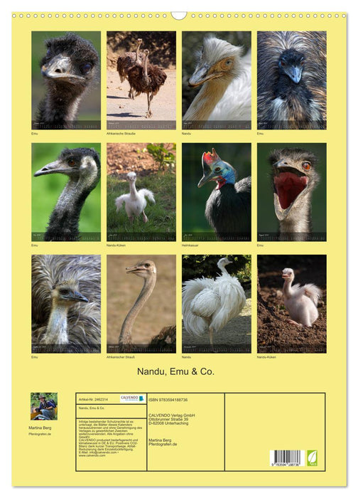 Nandu, Emu & Co. (CALVENDO Wandkalender 2027)