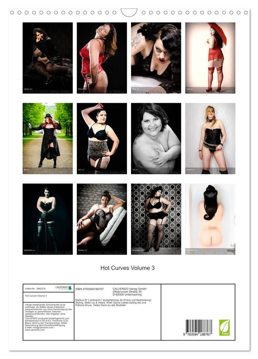 Hot Curves Volume 3 (CALVENDO Wandkalender 2027)