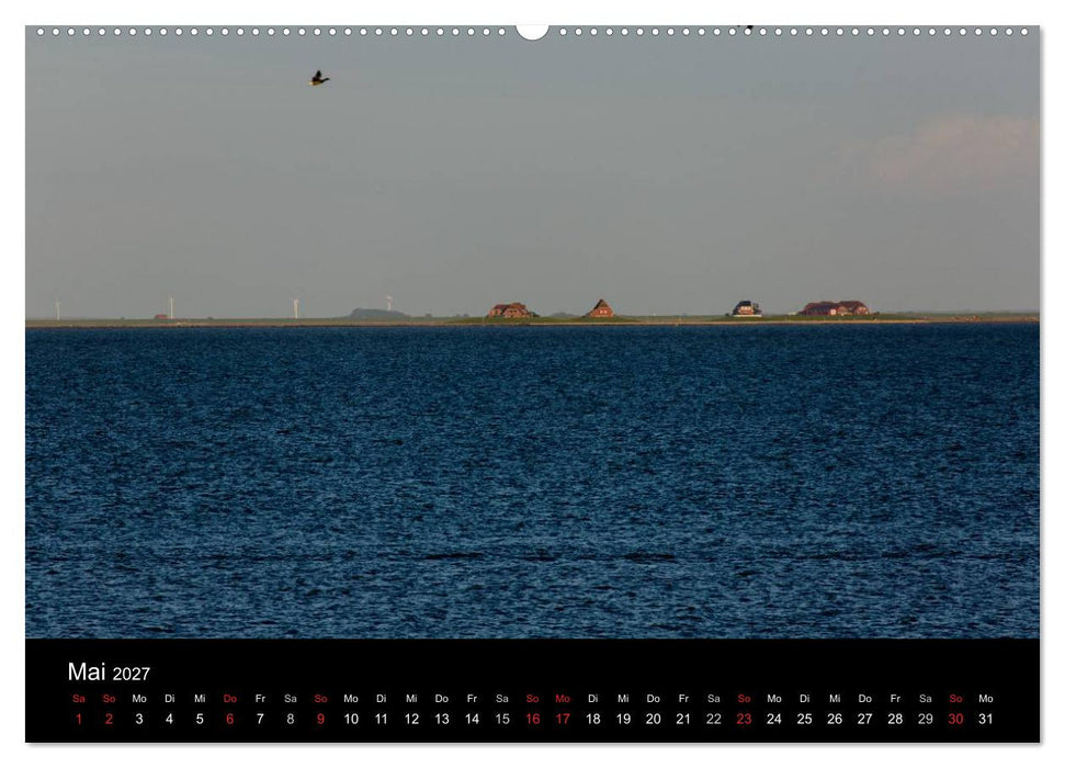 Pellworm 2027 (CALVENDO Wandkalender 2027)